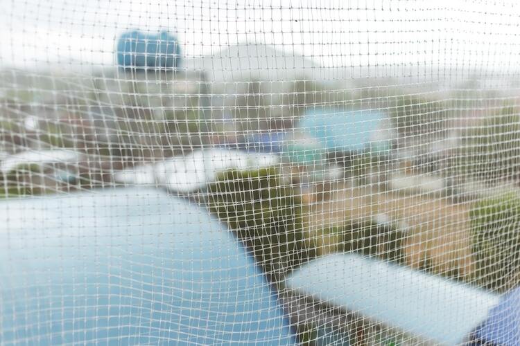   Pigeon Control Nets in Asif-Nagar  